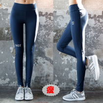 Korean diving pants long swimming trunks womens outdoor snorkeling pants surfing pants quick-drying pants thin and thin beach sunscreen pants