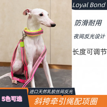 [Bond]Dog Collar for Medium and Large Dogs, Shiba Inu, Border Collie, Large Dog Pet Supplies, Anti-Strangle Traction Collar