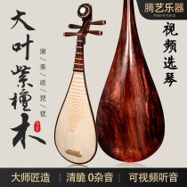 Grand feuille Purple Sandalwood Pipa High-end Professional Playing Grade Pipa Test Class Fabricant Direct Marketing Adult Test Class Musical Instrument Tenuit