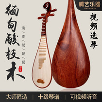 酸枝木琵琶民族乐器成人专业演奏考级专用手工琵琶工厂直销优选好