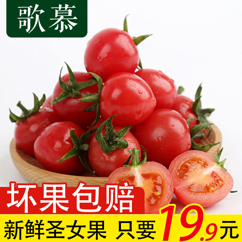 Gem Hainan fresh small tomato Tomato Virgin fruit Millennium fruit fruit 2 pounds special wholesale