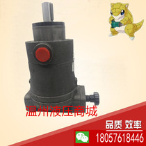 Shaoyang Vic Shao Liquid SY-10 25 32 40 63 80 160 250YCY14-1B