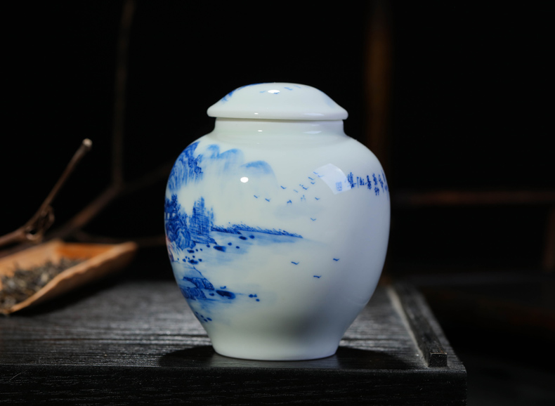 Offered home - cooked hand - made of blue and white porcelain in jingdezhen porcelain tea caddy fixings tea storehouse storage jar checking ceramic tea set
