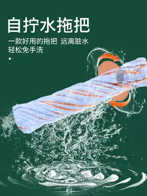 Self-screwing water mop Rotating lazy hand-washing screwing water mop Household hand-washing dry and wet dual-use absorbent cotton holder