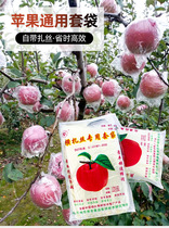 Rain-proof water plastic fruit apple bagged fruit and vegetable anti-insect bird set fruit bag agricultural fruit tree bag with zsilk protective fruit bag