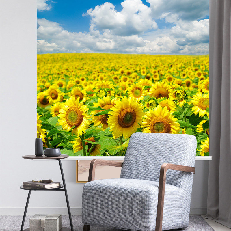 Roller blind heat insulation sunscreen blinds lift-free punching bathroom office kitchen blackout waterproof pull-type curtain