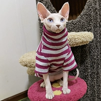 Серая розовая серая полосы роз