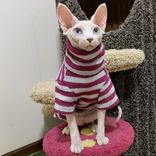 Двухцветная удерживающая тепло демисезонная хлопковая толстовка