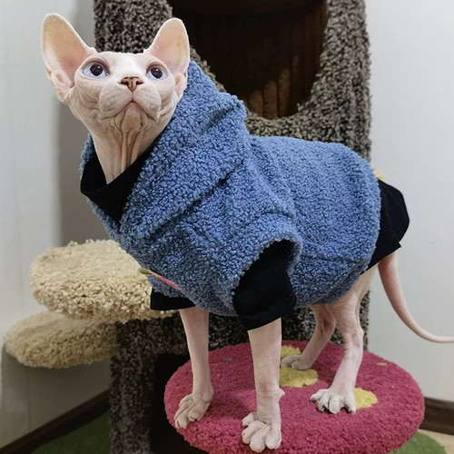 Свежая бесплатная доставка, безволосая одежда для кошек сфинкс немецкая дымка, синяя плюшевая бархатная капюшона зимняя теплая куртка