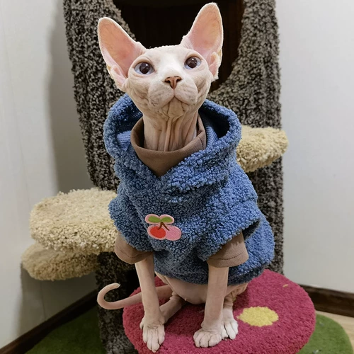 Свежая бесплатная доставка, безволосая одежда для кошек сфинкс немецкая дымка, синяя плюшевая бархатная капюшона зимняя теплая куртка