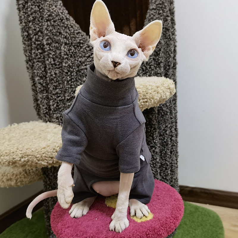 Hairless cat four-legged clothes thick velvet elastic big sphinx Devin Cornis curly winter bottoming to keep warm