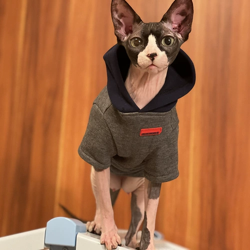 Осенняя хлопковая утепленная толстовка, удерживающий тепло балахон