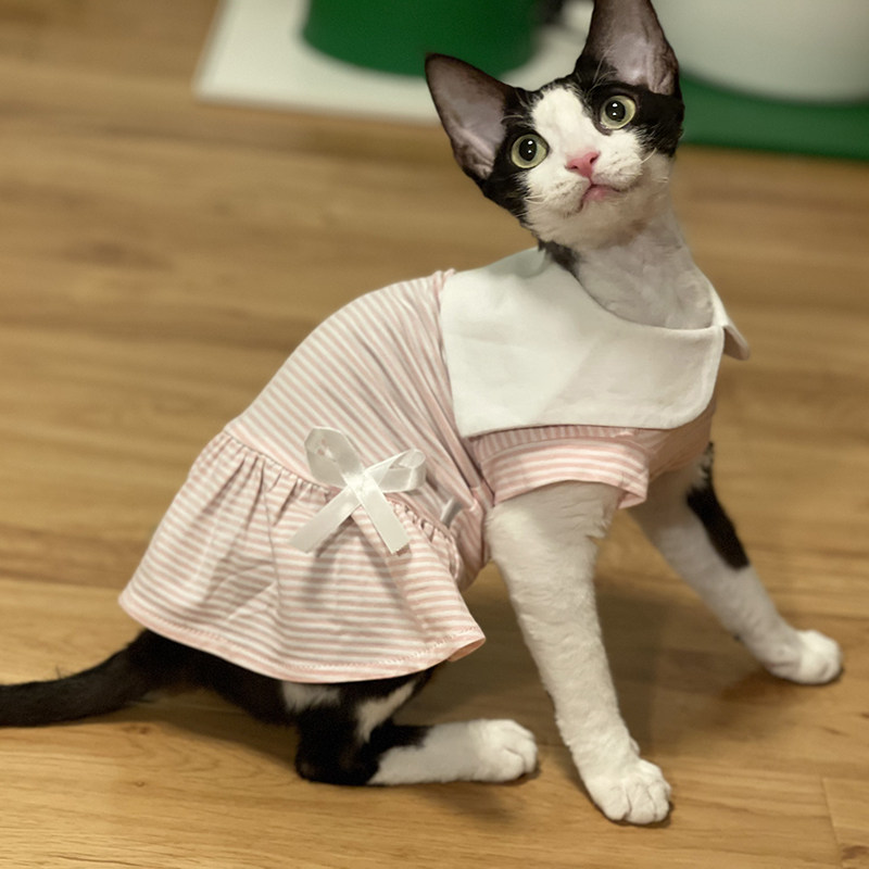 Fairy Floating Cat Clothes Sfinkestevin Koenis Pure Cotton Summer Thin Powder Metal Dress
