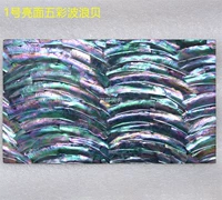 № 1 Яркая лицо красочная волновая моллюска