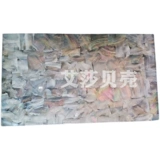 Яркая оболочка раковины раковины с салона