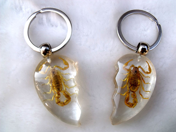 Insect Scorpion Amber Keychain Symbolizes Blessings and Peace, Crystal Creative Keychain, High-End and Unique, a Great Gift for Couples