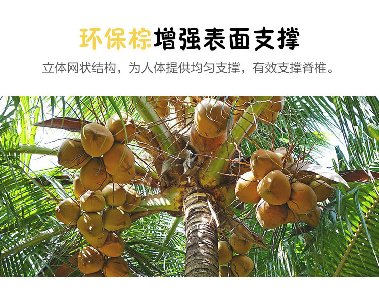 Lin đồ nội thất phần cứng và môi trường phần mềm cho trẻ em mùa xuân nệm 1,5m giường đơn 20cm dày CD043 mat đôi - Nệm các loại đệm