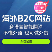 Overseas e-commerce shopping B2C mall Fight group spike distribution Foreign trade website construction Platform system customization development