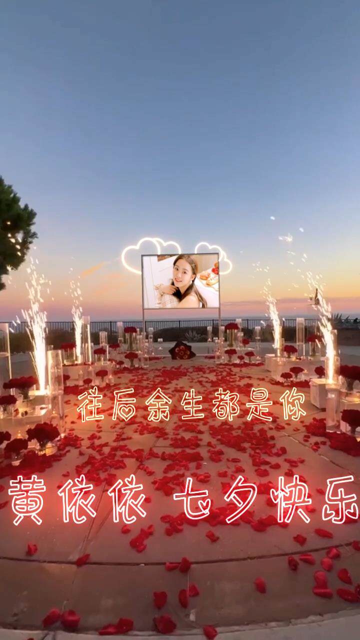 玫瑰花瓣照片文字