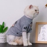 Интернет-знаменитость кошачья одежда летняя тонкая плюша