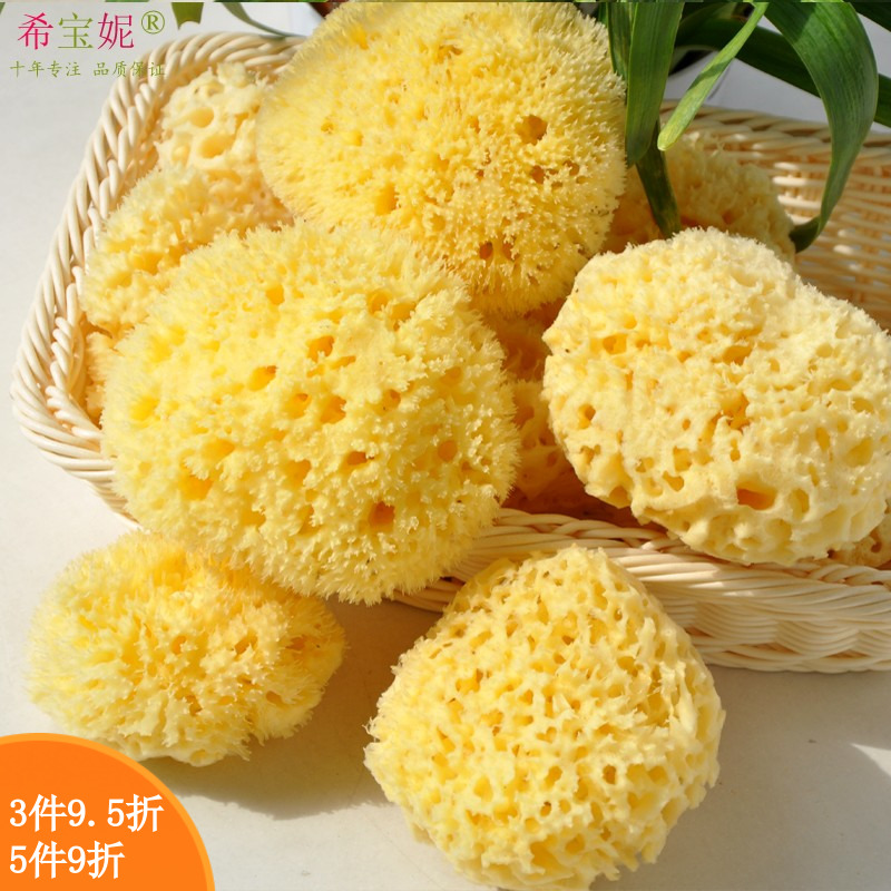 Imported baby baby bath sponge 4 5~5 0 inches Greek natural honeycomb sponge Honeycomb seaweed sponge