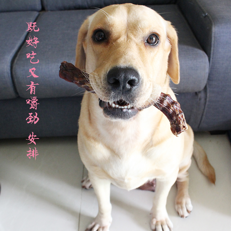 Xiaopeng đồ ăn nhẹ đa thú cưng làm bằng tay chó đồ ăn nhẹ vịt khô cổ thịt thưởng canxi răng hàm làm sạch răng - Đồ ăn vặt cho chó đồ ăn cho chó poodle