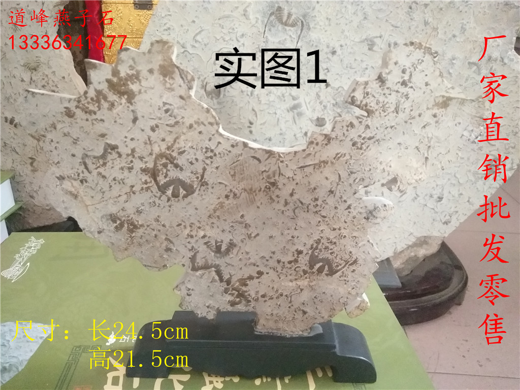 Swallow stone trilobite fossil craft gift sightseeing stone stone natural stone ornaments map