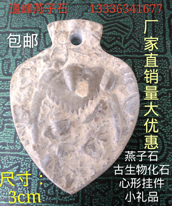 Swallow stone Trilobite fossil Paleontological fossil Sightseeing stone gift collection love pendant