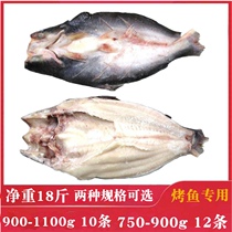 Open back Basha fish whole strip fresh frozen fresh and fresh open back Meat fish whole box of grilled fish special 20 catfish