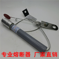 High voltage fuse 75p 80p 100p for BRW-6KV capacitor protection