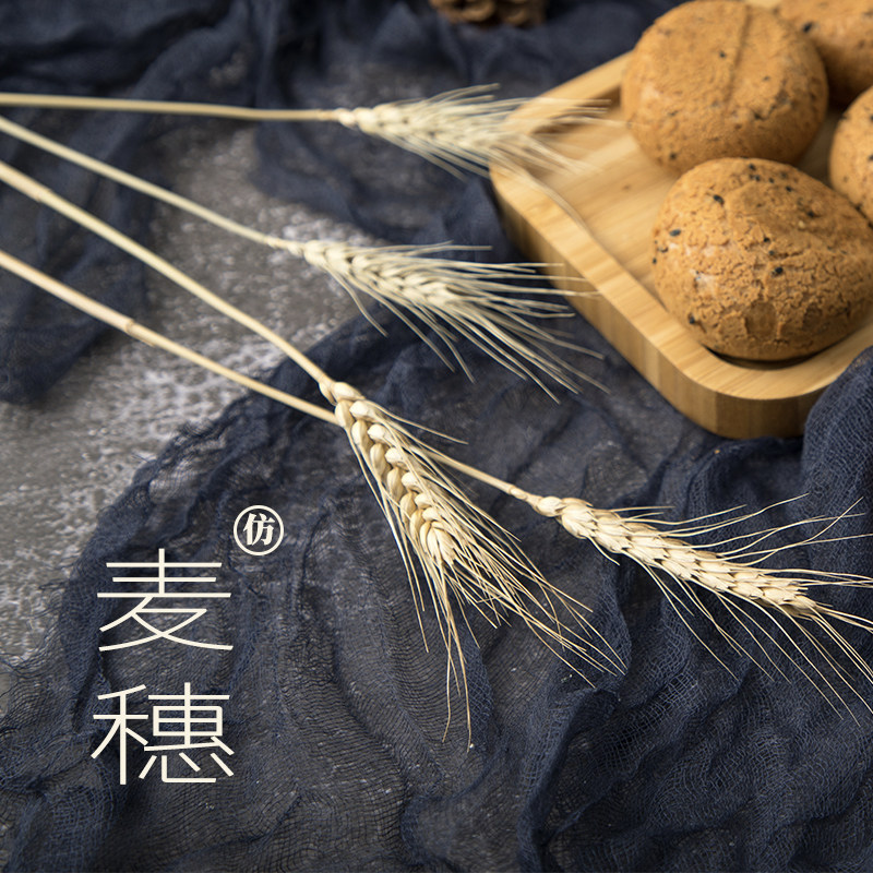 ins Nordic wind natural wheat ears wheat ears 1 bunch 7 wheat ears photo photography exhibition creative DIY pendulum swatches background cloth props decorations floral art shooting props