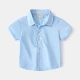 Голубая рубашка с коротки