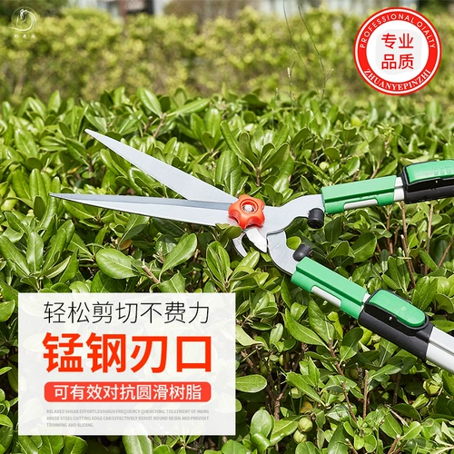 Садовые инструменты большие ветви и нарезанные фруктовые деревья.