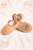 Классическая модель верблюда