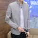 F01 Grey