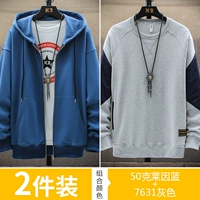 50 Clein LAN Стандарт +7631 Серый Конвенция