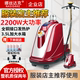 Nasdaq steam garment ironing machine high-power clothing store commercial vertical ironing machine home ironing iron