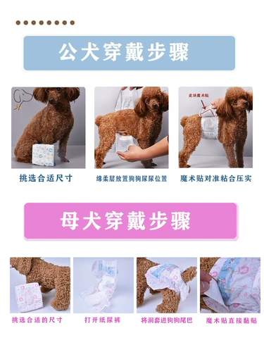 Pet Pagemes Gong Dog Преданная мужская плюшевая моча не является влажной, чем физиологическая конфигурация медвежьи суки для гигиены