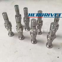 Rivet punch rivet riveting head press riveting machine die riveting machine spin riveting head