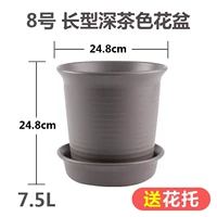 № 8 длинный цвет чая (отправка потто)