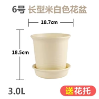 № 6 Long Light Rice (отправка Потто)