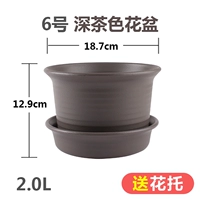 № 6 среднего цвета чая (отправка потто)