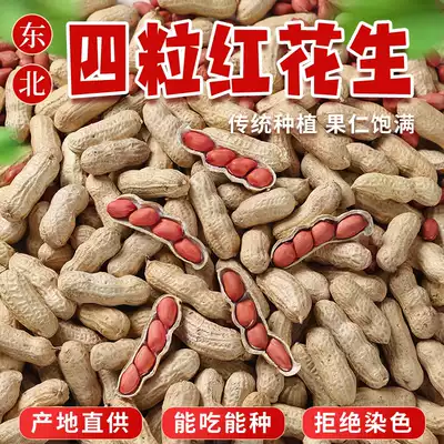 Northeast red skin peanut fruit new goods raw peanut rice farmer four red peanut kernels red clothes original bulk specialty