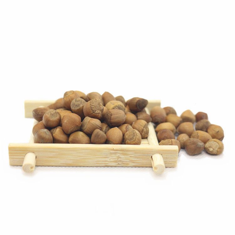 Northeast Wild Little Hazelnut Iron Ridge Open Original Tersan Hazelnut Small Grain Small Grain Fried Cooked 500g Bulk New Stock