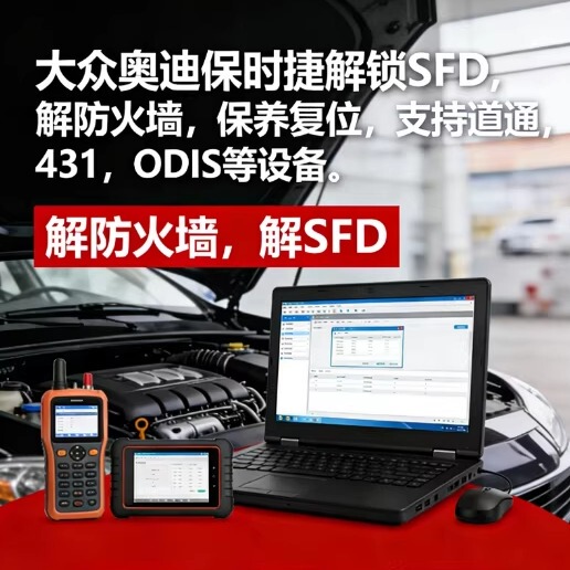 Volkswagen Sfd Audi Sfd Porsche Sfd Firewall Shutdown Maintenance Reset Offline Calculation Offline Activation Sfd
