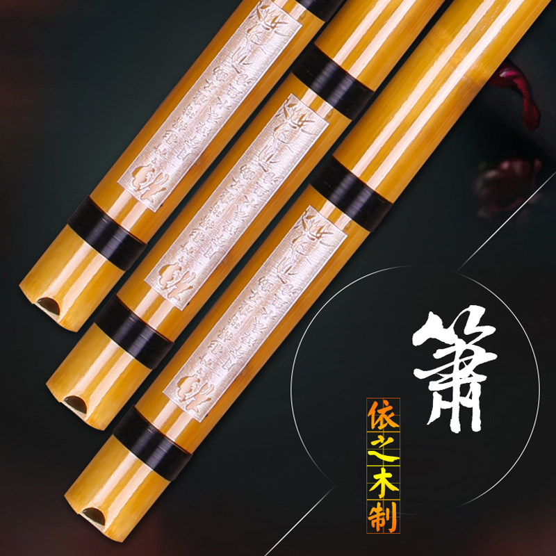 Baizhudong Xiao Xiao musical instrument Professional performance Xiao Xiao Baizhudong Xiao blowing musical instrument send accessories