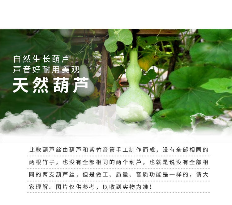 Taobao тыква шелк 750_03.jpg