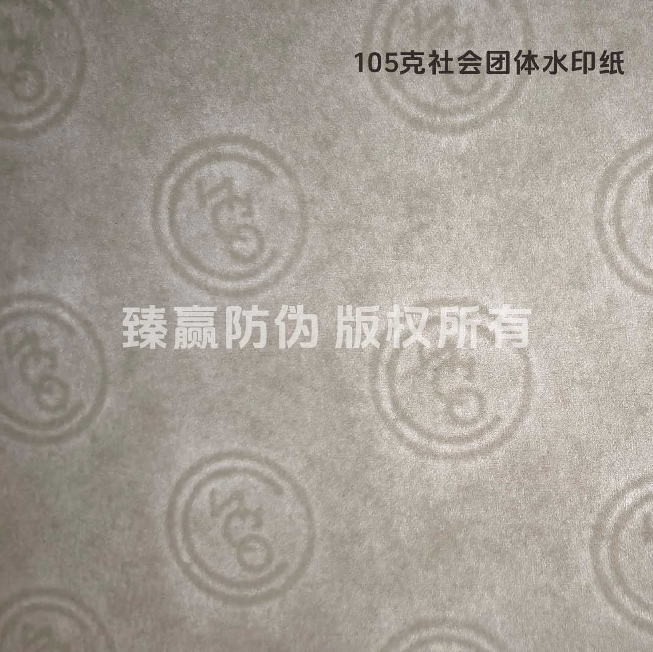 105克社会团体水印纸