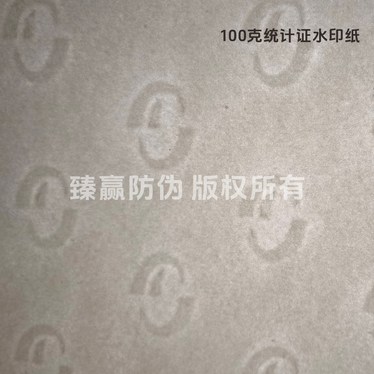 100克统计证水印纸
