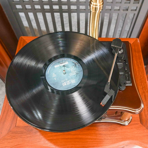 Ретро -споракоромикулярная гостиная портрет виниловый рекордер старый стиль электрический пение творческий подарок Bluetooth Audio